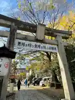 安井金比羅宮の鳥居
