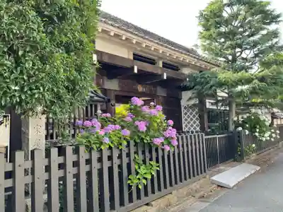 蓮光院の山門・神門