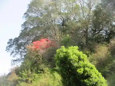 正福寺(埼玉県)