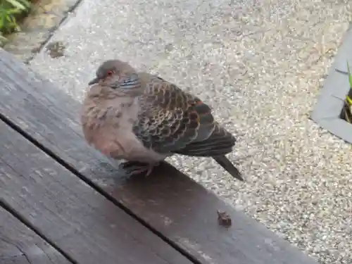 前橋東照宮(群馬県)