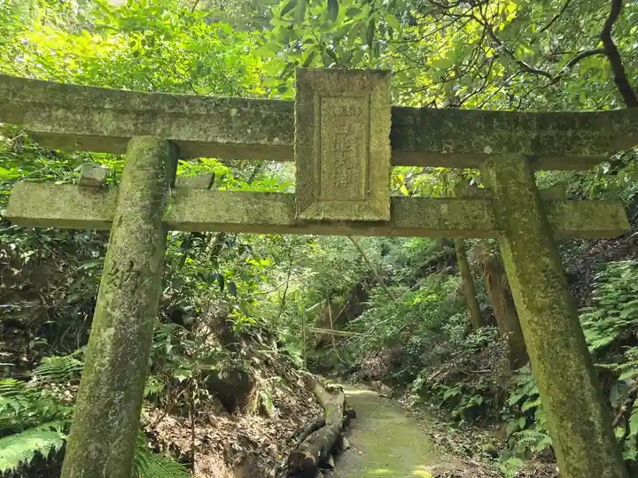金剛寺(大阪府)