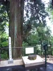  大岩山 最勝寺の自然