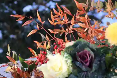 豊景神社の手水舎