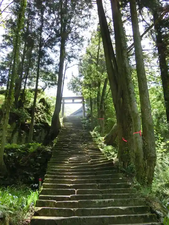 佐毘賣山神社(佐毘売山神社)の鳥居