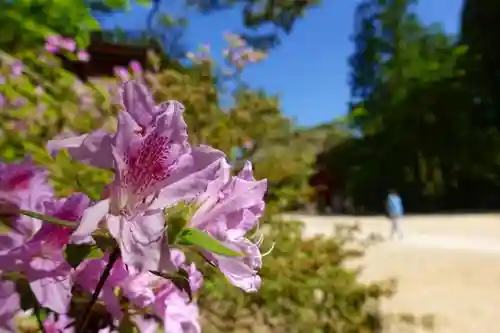 壇上伽藍の庭園