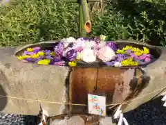 伊和志津神社の手水