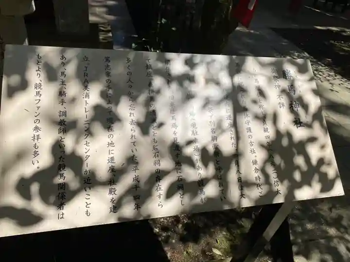 大杉神社(茨城県)