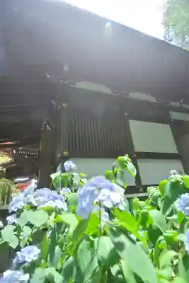 高幡不動尊　金剛寺のその他建物