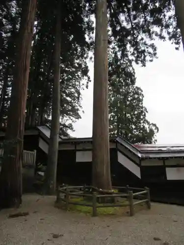 気多若宮神社の自然