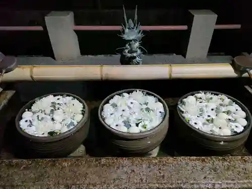 津島神社の手水舎