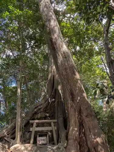 事任八幡宮(静岡県)