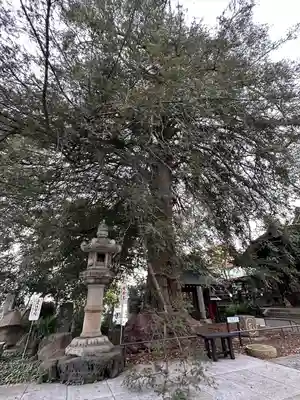 善養寺（善養密寺）(東京都)