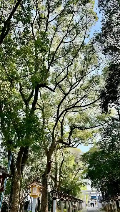 錦織神社(大阪府)