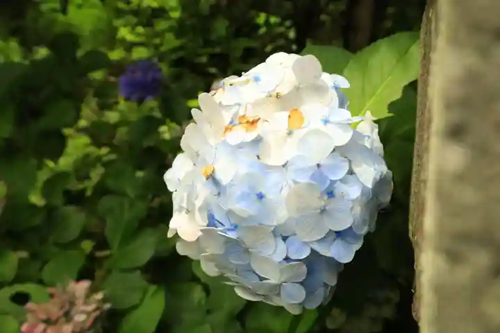 太平山神社(栃木県)