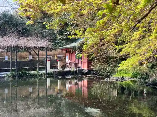 富士山本宮浅間大社の{uncategorized: "未分類", other: "その他", undefined: "問題あり", building: "その他建物", grave: "お墓", sacred_gate: "鳥居", guardian: "狛犬", statue: "像", buddha: "仏像", history: "歴史", nature: "自然", garden: "庭園", animal: "動物", pagoda: "塔", temizu: "手水舎", mountain_gate: "山門・神門", sanctuary: "本殿・本堂", subordinate: "末社・摂社", art: "芸術", scenery: "景色", jizo: "地蔵", ema: "絵馬", goshuin: "御朱印", omikuji: "おみくじ", items: "授与品その他", amulet: "お守り", goshuincho: "御朱印帳", eats: "食事", festival: "お祭り", votive_dance: "神楽", shichigosan: "七五三参", wedding: "結婚式", experience: "体験その他", initially: "初詣", around: "周辺", anti_infection: "感染症対策"}