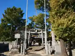 素盞嗚神社の鳥居