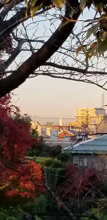 題経寺(柴又帝釈天)(東京都)