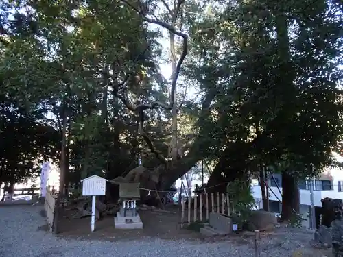 草薙神社(静岡県)