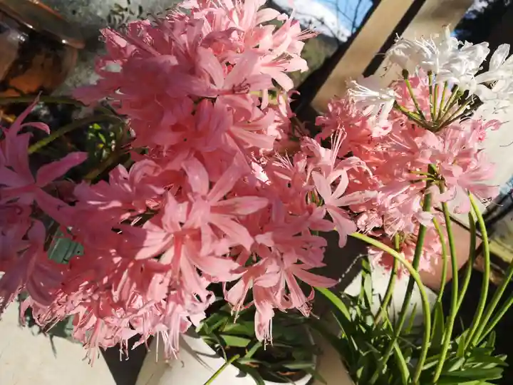 高司神社〜むすびの神の鎮まる社〜(福島県)