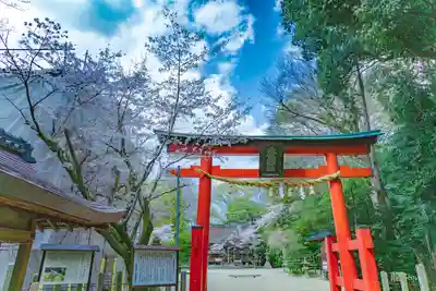 廣瀬大社(奈良県)