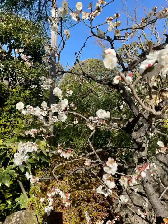 栄松院の{uncategorized: "未分類", other: "その他", undefined: "問題あり", building: "その他建物", grave: "お墓", sacred_gate: "鳥居", guardian: "狛犬", statue: "像", buddha: "仏像", history: "歴史", nature: "自然", garden: "庭園", animal: "動物", pagoda: "塔", temizu: "手水舎", mountain_gate: "山門・神門", sanctuary: "本殿・本堂", subordinate: "末社・摂社", art: "芸術", scenery: "景色", jizo: "地蔵", ema: "絵馬", goshuin: "御朱印", omikuji: "おみくじ", items: "授与品その他", amulet: "お守り", goshuincho: "御朱印帳", eats: "食事", festival: "お祭り", votive_dance: "神楽", shichigosan: "七五三参", wedding: "結婚式", experience: "体験その他", initially: "初詣", around: "周辺", anti_infection: "感染症対策"}