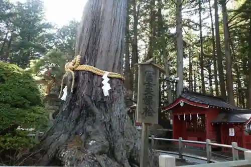北口本宮冨士浅間神社(山梨県)