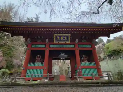 妙義神社(群馬県)