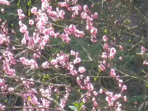 御霊神社の自然