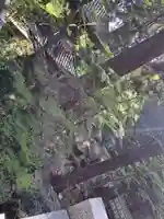 最乗寺(道了尊)(神奈川県)