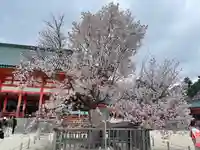 平安神宮の自然