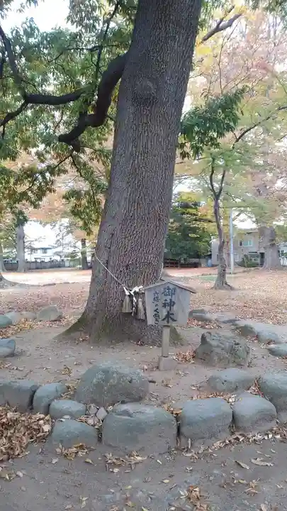 六椹八幡宮のその他建物