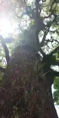 晴明神社(京都府)