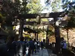 榛名神社の鳥居