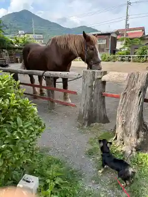 小室浅間神社(山梨県)