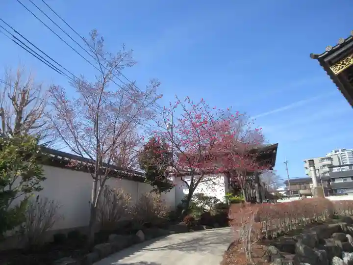 大林寺(神奈川県)
