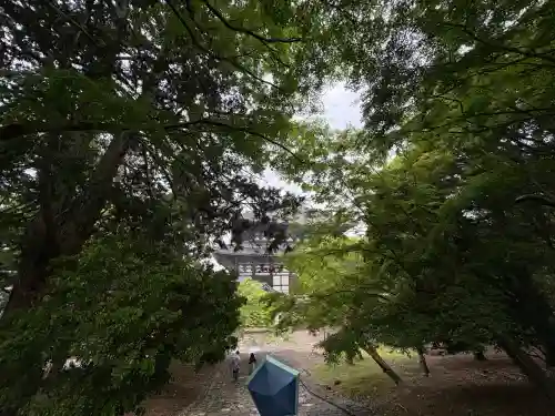 東大寺の{uncategorized: "未分類", other: "その他", undefined: "問題あり", building: "その他建物", grave: "お墓", sacred_gate: "鳥居", guardian: "狛犬", statue: "像", buddha: "仏像", history: "歴史", nature: "自然", garden: "庭園", animal: "動物", pagoda: "塔", temizu: "手水舎", mountain_gate: "山門・神門", sanctuary: "本殿・本堂", subordinate: "末社・摂社", art: "芸術", scenery: "景色", jizo: "地蔵", ema: "絵馬", goshuin: "御朱印", omikuji: "おみくじ", items: "授与品その他", amulet: "お守り", goshuincho: "御朱印帳", eats: "食事", festival: "お祭り", votive_dance: "神楽", shichigosan: "七五三参", wedding: "結婚式", experience: "体験その他", initially: "初詣", around: "周辺", anti_infection: "感染症対策"}