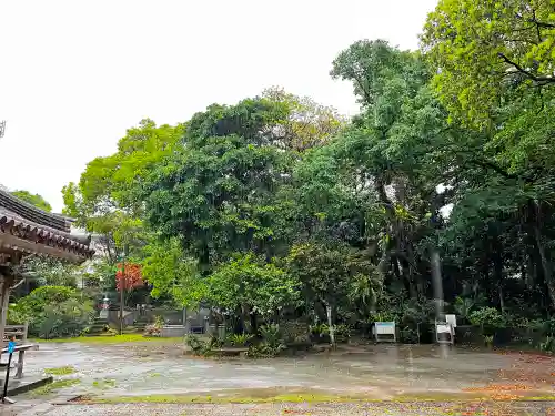 金武観音寺の建物その他