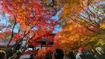 東福禅寺(東福寺)(京都府)