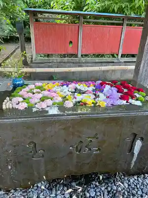 前玉神社(埼玉県)