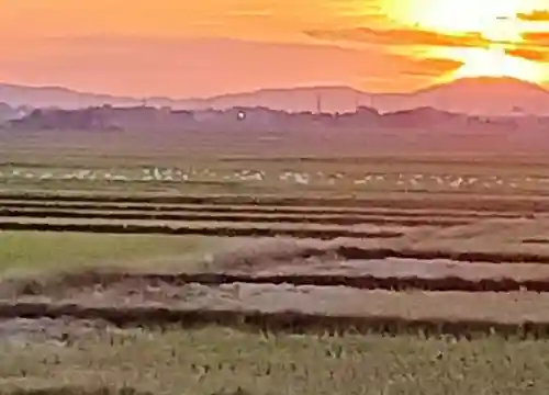 白狐山光星寺(山形県)