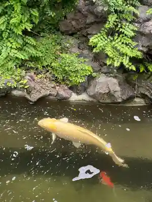 吉原弁財天本宮（吉原神社奥宮）(東京都)