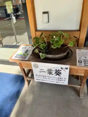 静岡浅間神社(静岡県)