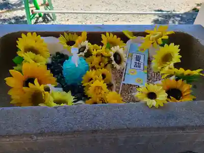 森戸大明神(森戸神社)の手水舎