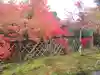 光悦寺の庭園
