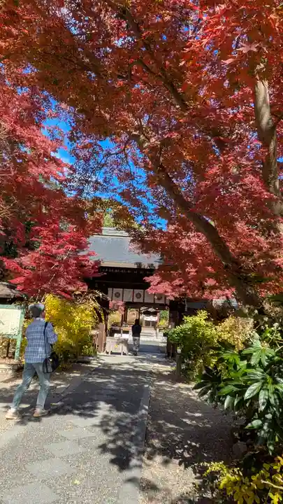 梨木神社(京都府)