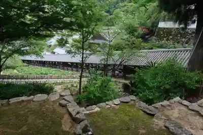 長谷寺(奈良県)