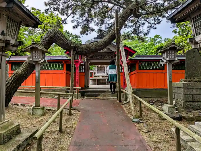 高山稲荷神社の本殿