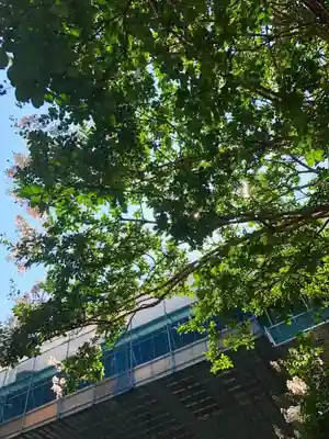 白龍神社の周辺