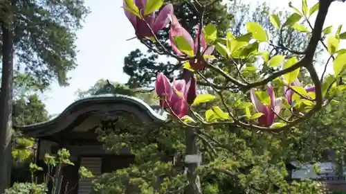 観音寺(千葉県)