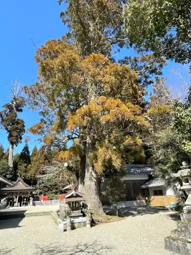 國津神社(奈良県)
